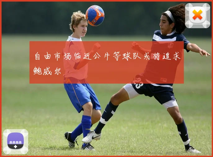 自由市场临近公牛等球队或将追求鲍威尔